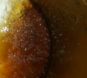 유성 페인트 동결